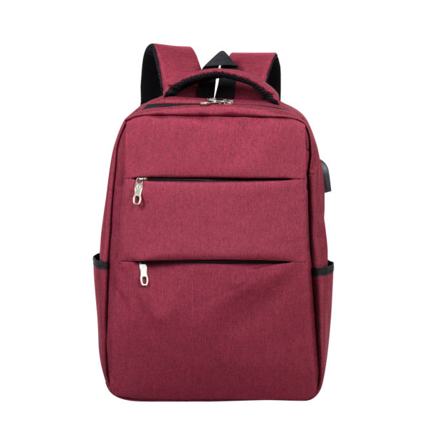 LAPTOP BACKPACK B352 - Image 5